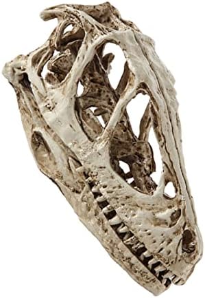 Homoyoyo Dinoszaurusz-Koponya Modell Játékok Tyrannosaurus Rex Koponya Szimulált Csontváz Modell Gyanta