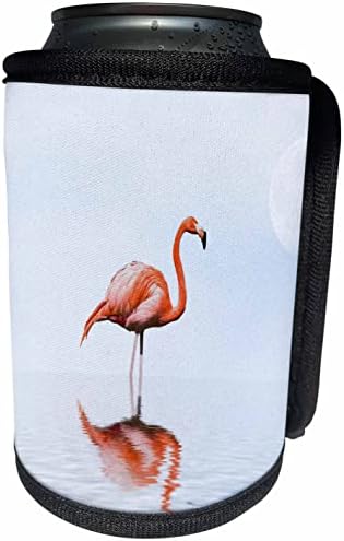 3dRose térdig Flamingo Kezdő Akvarell - Lehet Hűvösebb Üveg Wrap (cc-361095-1)