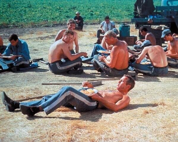 Hűvös Kéz Luke Paul Newman fekszik a földön eszik ebédet a mezőre 8x10 hüvelyk fotó